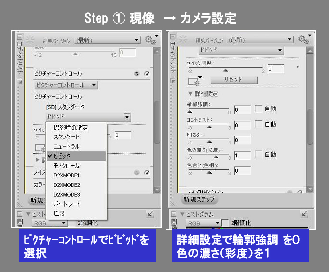 Nikon Capture NX２のレタッチ方法: 星三昧